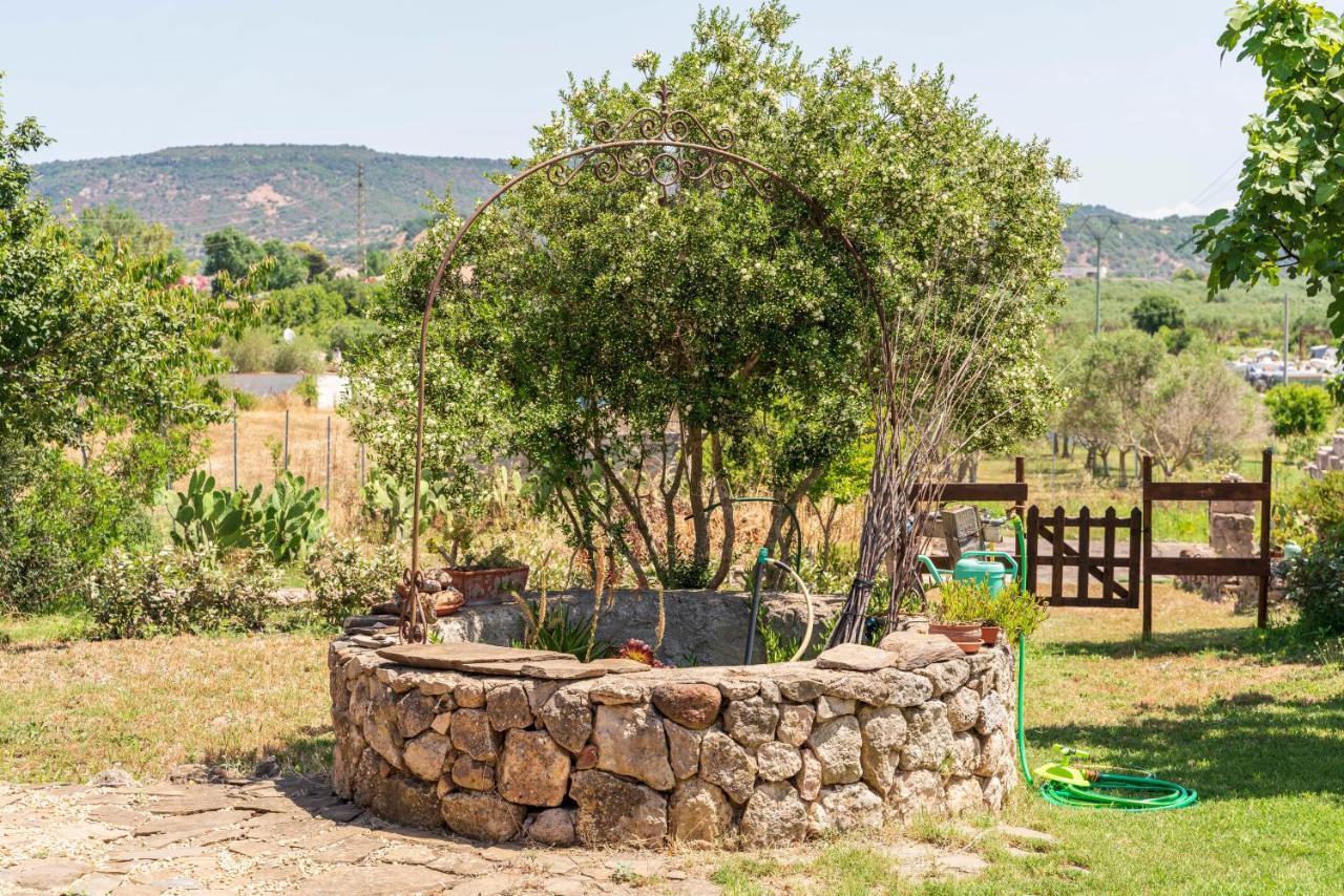 Open Space Accommodation Αλγκέρο Εξωτερικό φωτογραφία